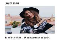 深车供应链管理有限公司