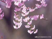 深车供应链管理有限公司