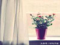 深车供应链管理有限公司