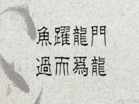 深车供应链管理有限公司
