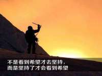 深车供应链管理有限公司