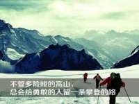 深车供应链管理有限公司