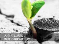 深车供应链管理有限公司