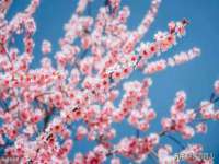 深车供应链管理有限公司