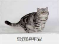 深车供应链管理有限公司