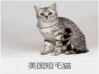 深车供应链管理有限公司