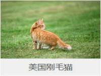 深车供应链管理有限公司