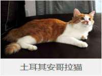 深车供应链管理有限公司