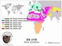 深车供应链管理有限公司