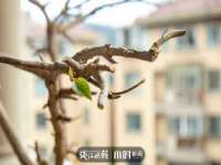 深车供应链管理有限公司