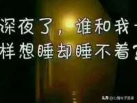 深车供应链管理有限公司