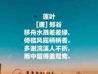 深车供应链管理有限公司