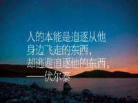深车供应链管理有限公司