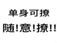 深车供应链管理有限公司