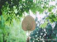 深车供应链管理有限公司