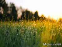 深车供应链管理有限公司