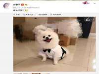 深车供应链管理有限公司