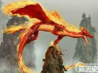 深车供应链管理有限公司