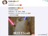 深车供应链管理有限公司