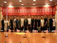 深车供应链管理有限公司