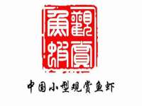 深车供应链管理有限公司