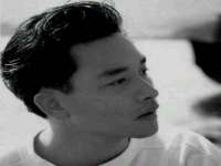 深车供应链管理有限公司