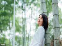 深车供应链管理有限公司