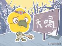 深车供应链管理有限公司