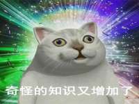深车供应链管理有限公司