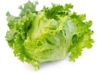 深车供应链管理有限公司