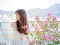 深车供应链管理有限公司
