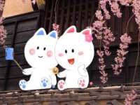 深车供应链管理有限公司