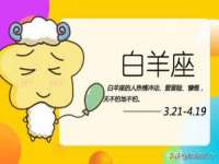 深车供应链管理有限公司