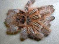 深车供应链管理有限公司