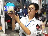 深车供应链管理有限公司