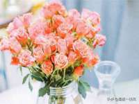深车供应链管理有限公司