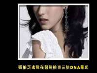 深车供应链管理有限公司