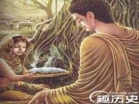 深车供应链管理有限公司